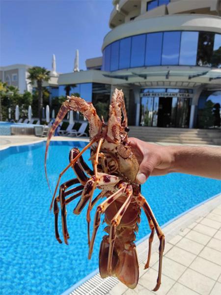 Vela Hotel Restaurant غوليم المظهر الخارجي الصورة